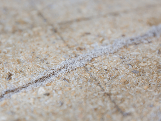 Close-up of a concrete floor crack filled with Bostik repair sand, showing prepared surface texture before resin application.