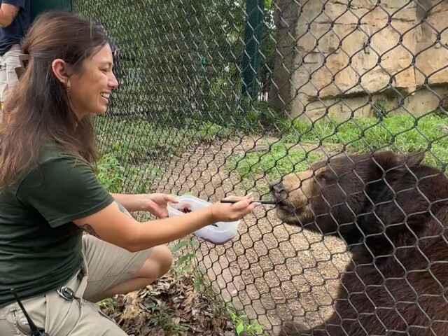 Monica feeding a bear 