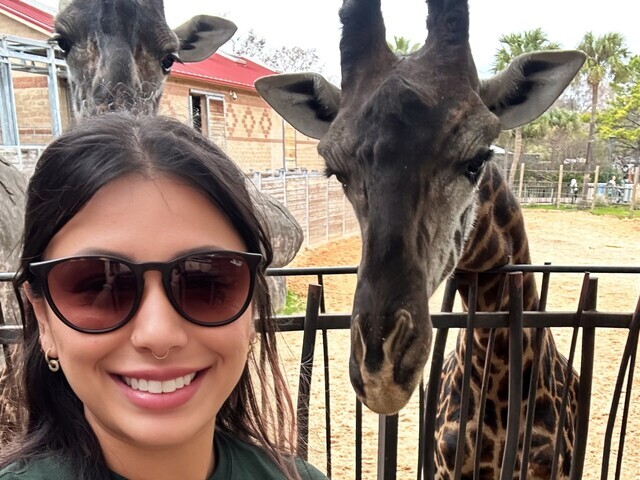 Monica's selfie with two giraffes